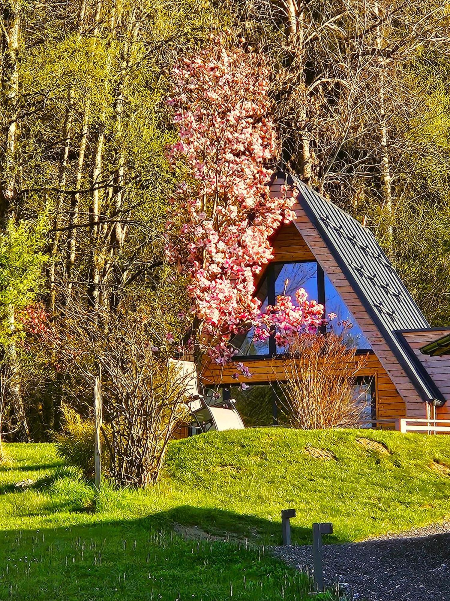 Mountains & Lakes - Chaletdorf & Appartements Villach Eksteriør bilde